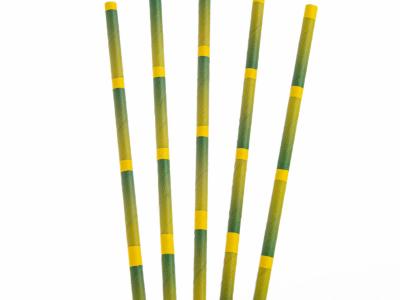 Matrix Pack UK 6mm 200mm Palms